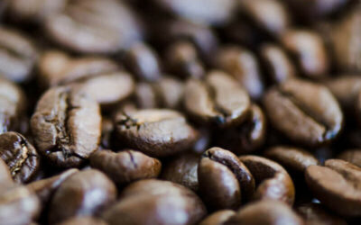 El café en grano Lavazza: la mejor elección